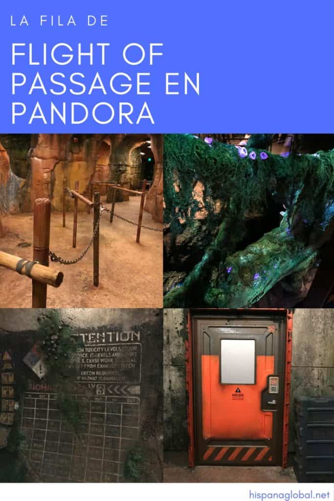Fila de Flight of Passage en Pandora THE WORLD OF AVATAR Disney World via hispanaglobal.com