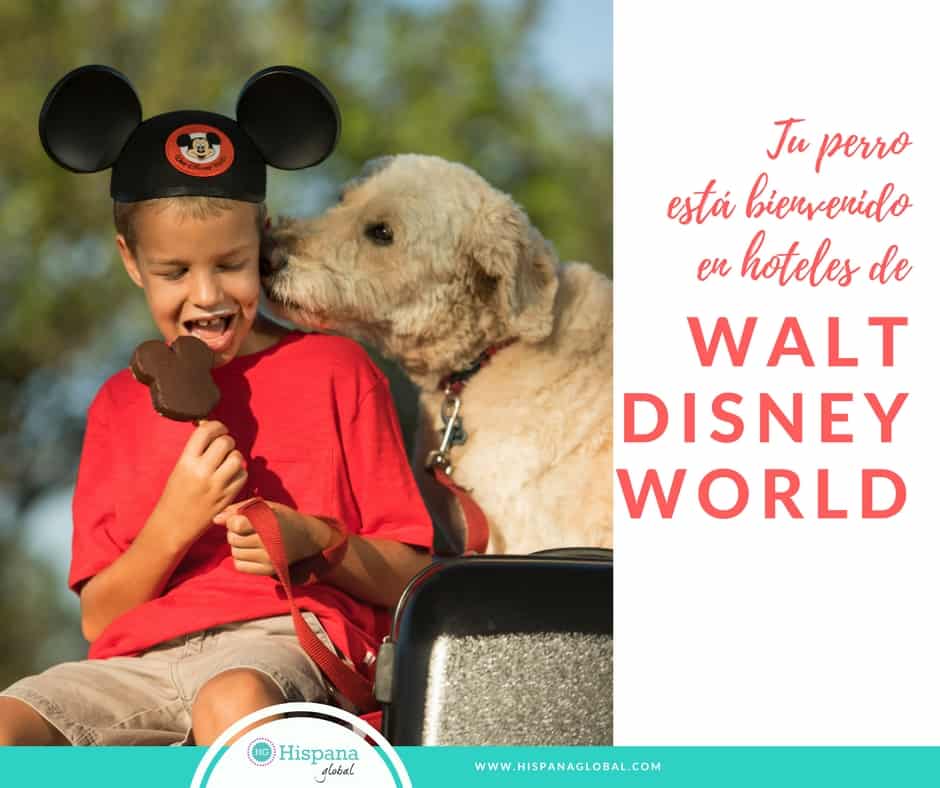 Puedes llevar a tu perro a ciertos hoteles de Walt Disney World Resort en Orlando