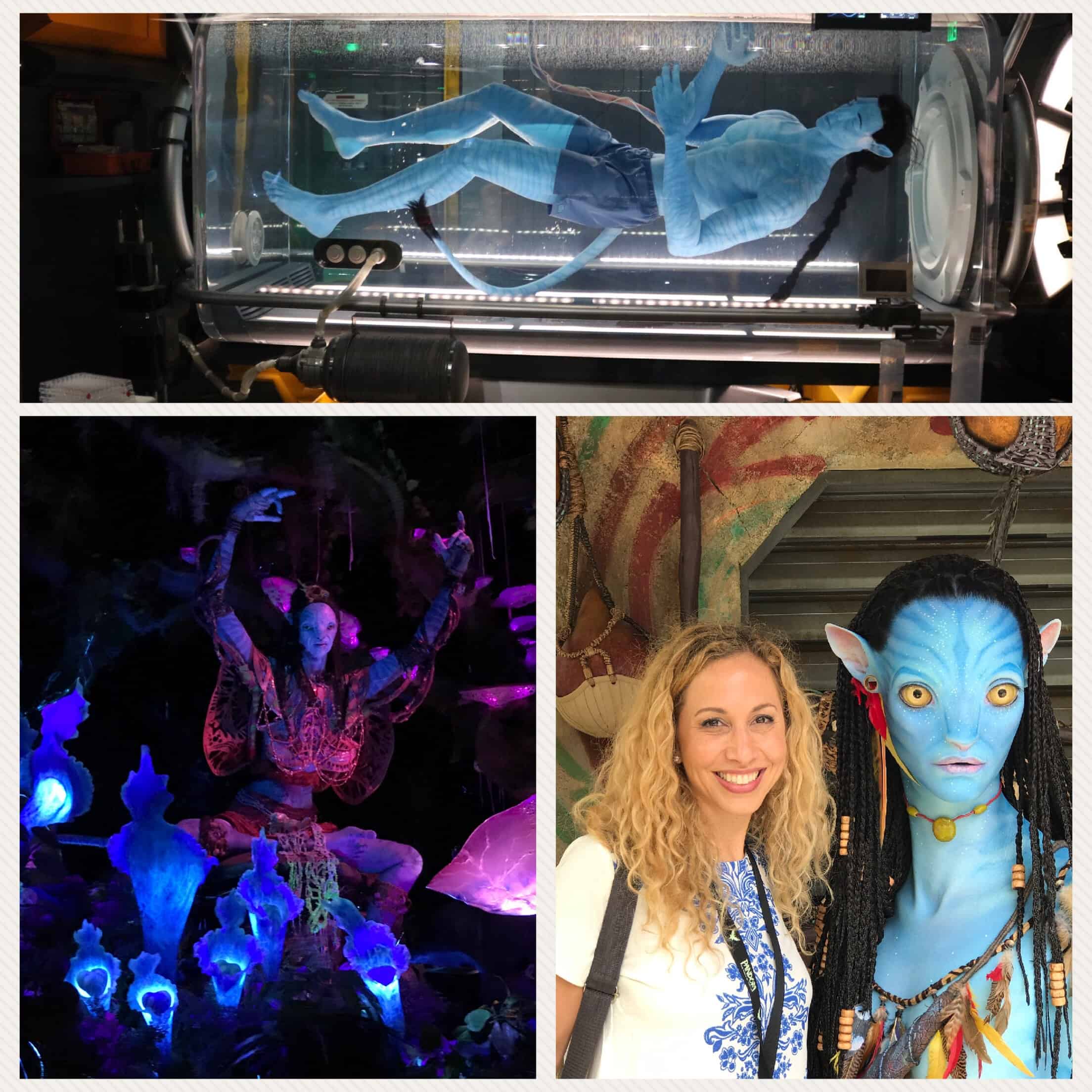 Descubre el mundo de Pandora y Avatar en Walt Disney World