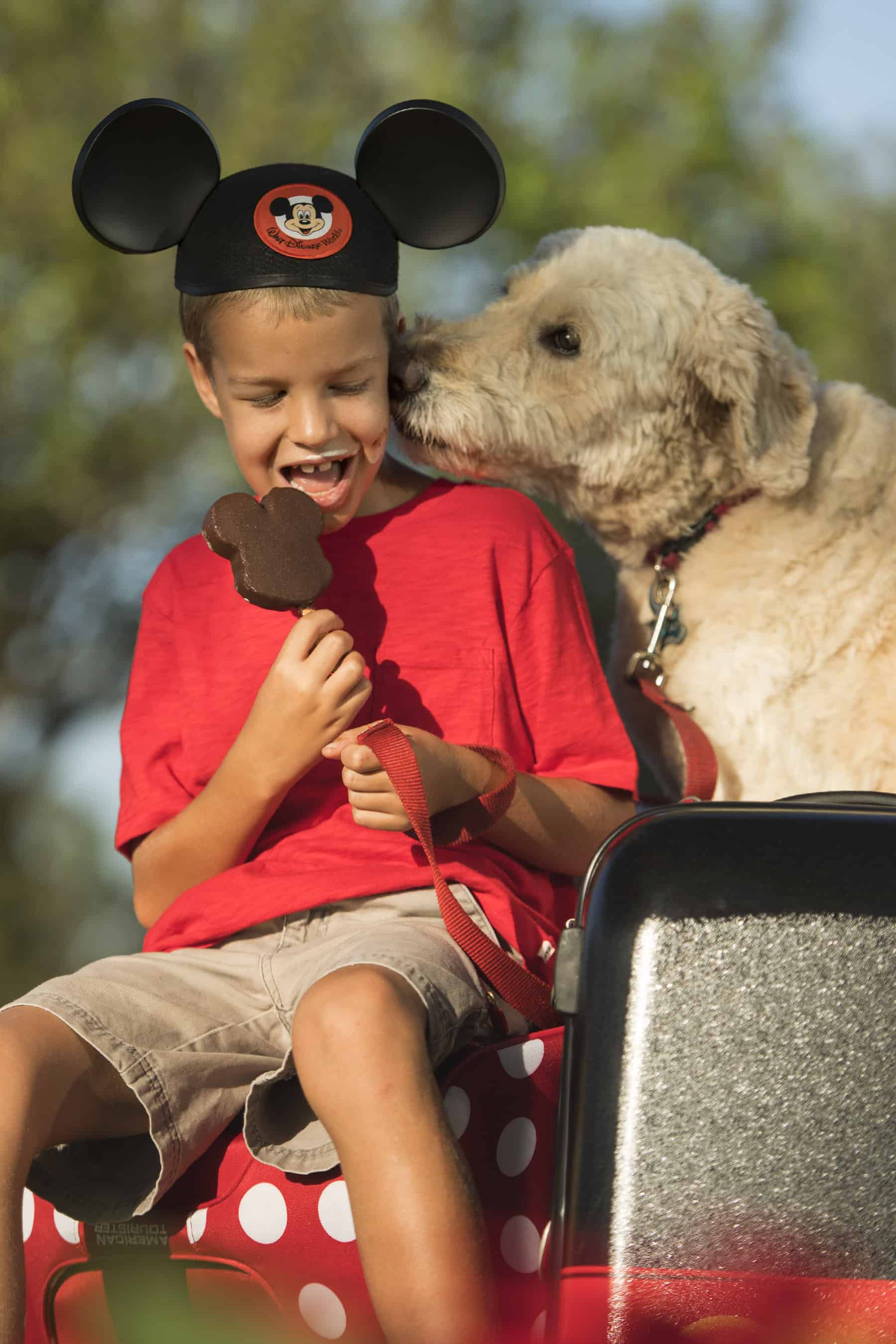 ¡Ahora puedes llevar a tu perro a ciertos hoteles de Walt Disney World!