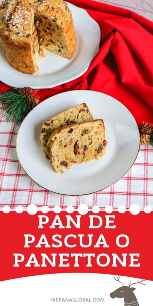 Aprende a preparar pan de pascua o panettone de Navidad con esta exquisita receta. ¡Es un bello regalo que puedes hacer en casa!